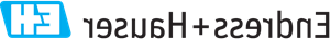 logo for Endress+Hauser